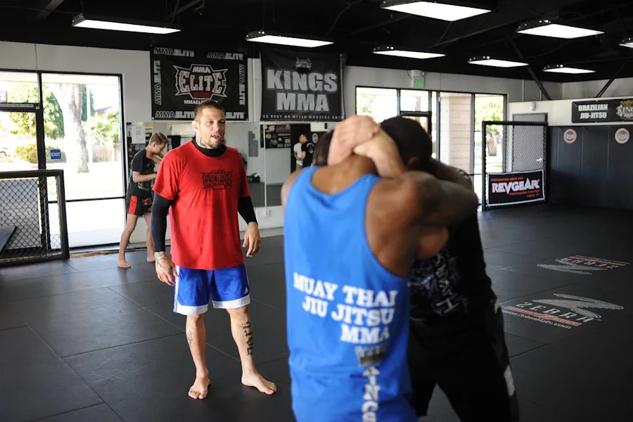 mma-som-professionell-sport