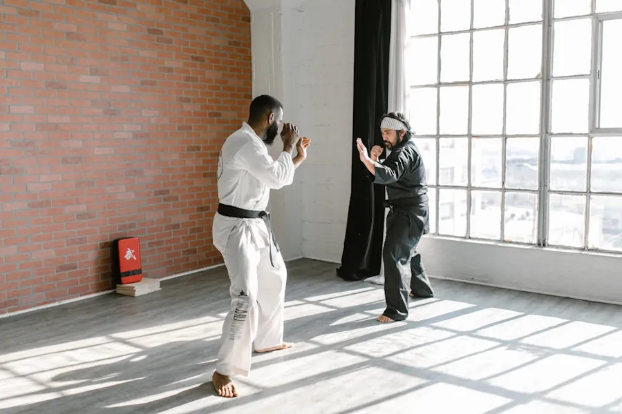 aikido