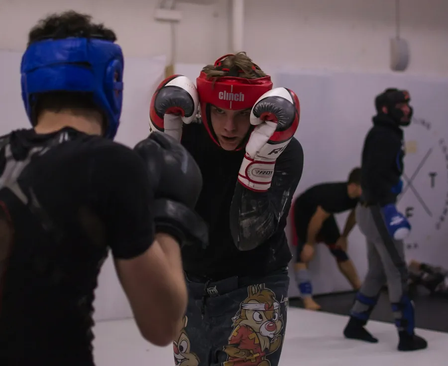 mixed-martial-arts