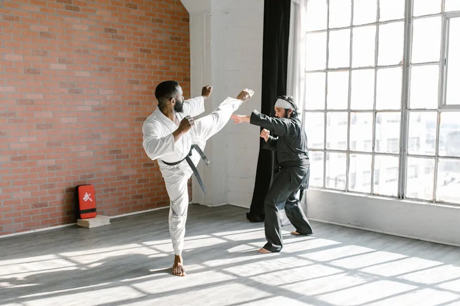 sanda-sanshou