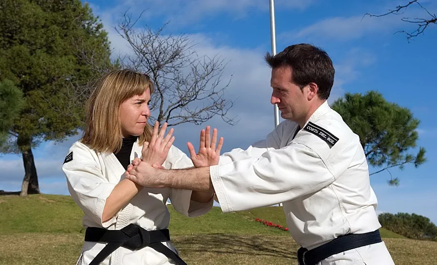 shorinji-kempo