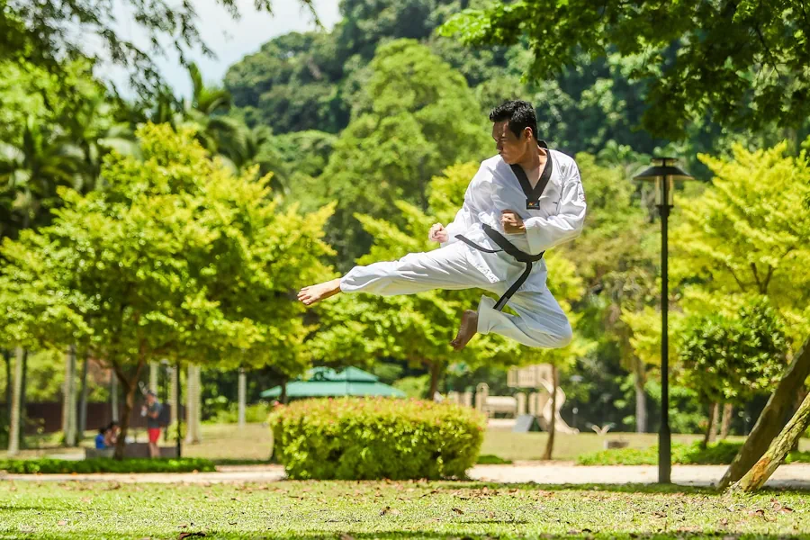 wushu-kulturell-och-historisk-betydelse
