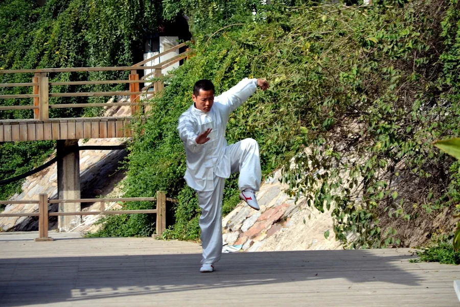 wushu