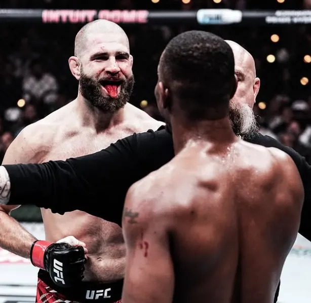 Jiří Procházka vs. Jamahal Hill