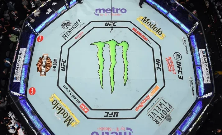 UFC 313