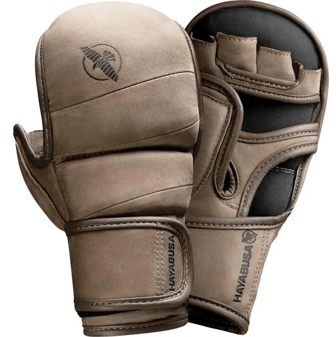 Hayabusa